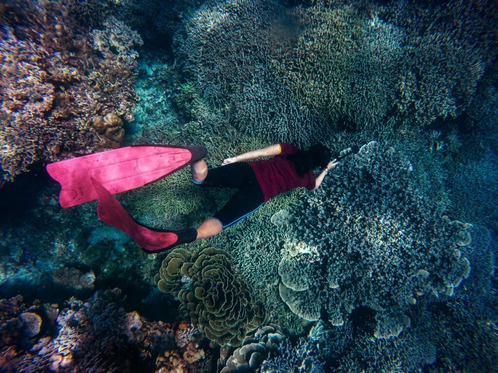 Duiken met vissen en koraal in Phuket in Thailand 